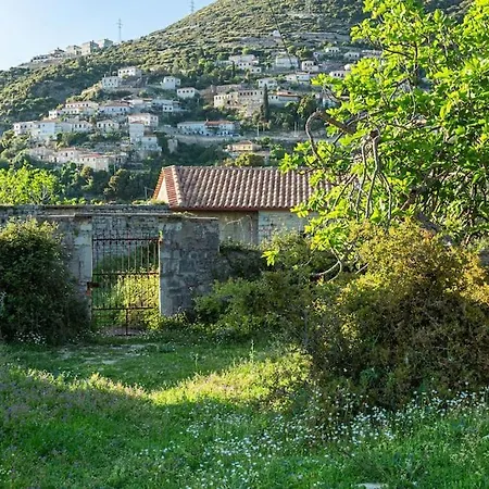 Color - South Paradise 5 Himarë