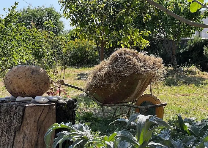 公寓 Color - South Paradise 5 *