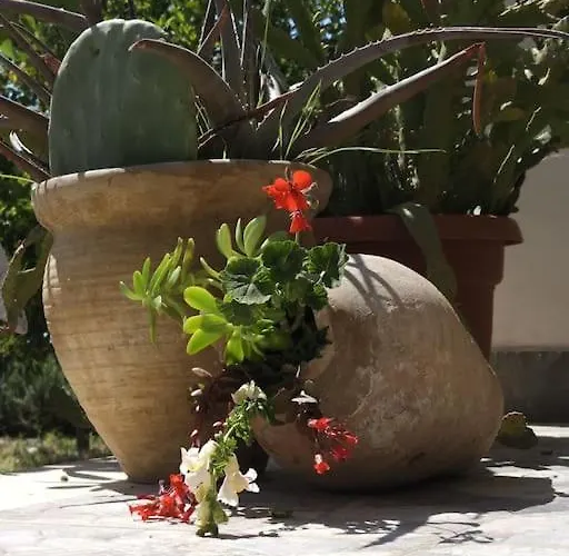 公寓 Color - South Paradise 5 希马拉