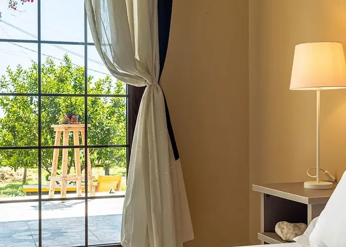 Color - South Paradise 5 *