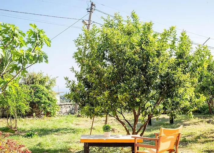 Apartment Color - South Paradise 5 *