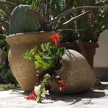 Apartment Color - South Paradise 5 Himarë