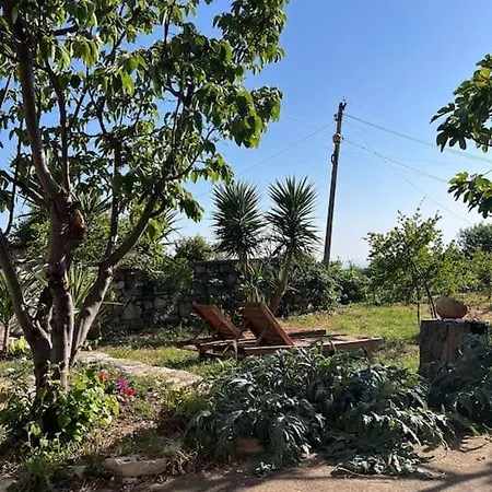 Apartment Color - South Paradise 5 Himarë