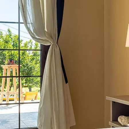 Color - South Paradise 5 *