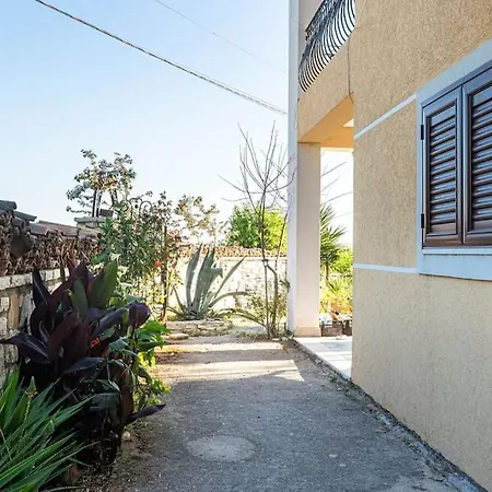 Color - South Paradise 5