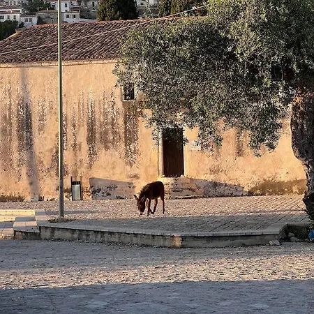 Apartment Color - South Paradise 5