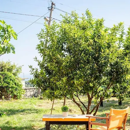 Apartment Color - South Paradise 5 *